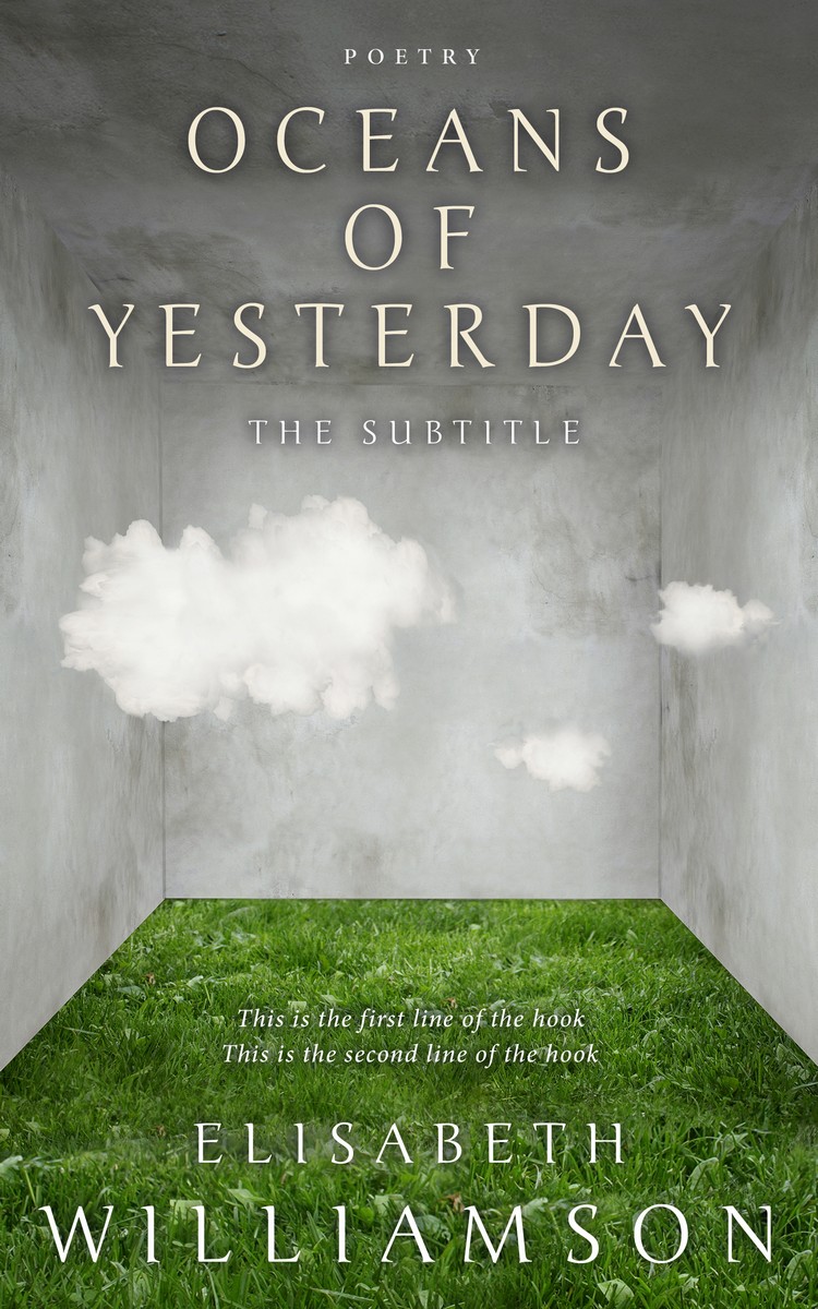 2D view of Premade Abstract Book Cover - Limed Ash