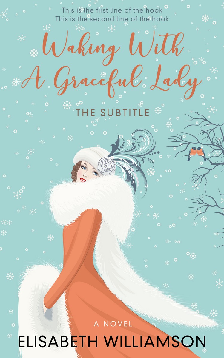 2D view of Premade Abstract Book Cover - Sinbad