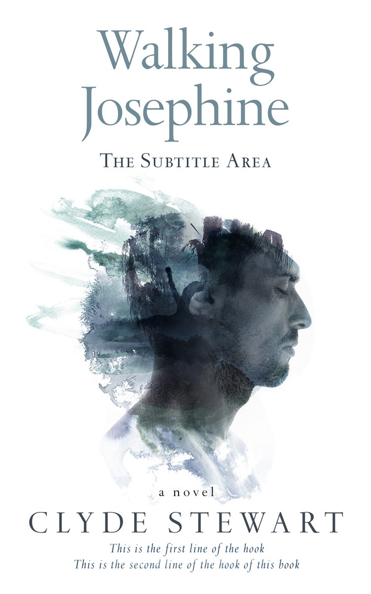 2D view of Premade Abstract Book Cover - River Bed