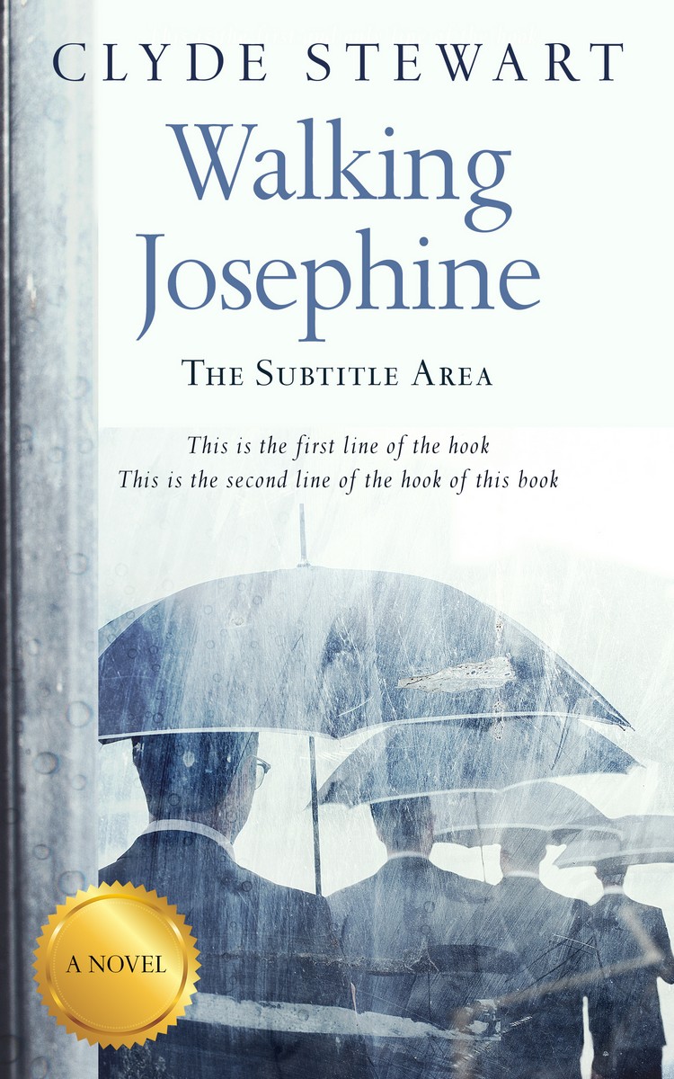 2D view of Premade Business Book Cover - Fiord