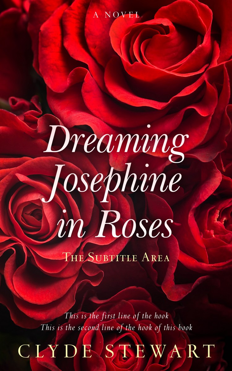 2D view of Premade Romance Book Cover - Aubergine