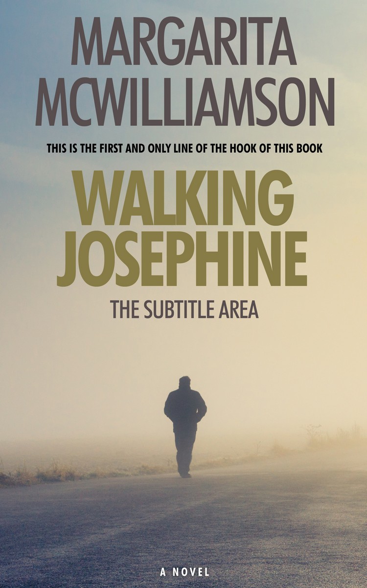 2D view of Premade Horror Book Cover - Bison Hide