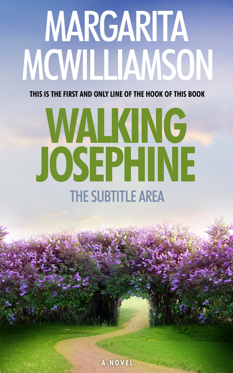 2D view of Premade Fantasy Book Cover - Gray Suit