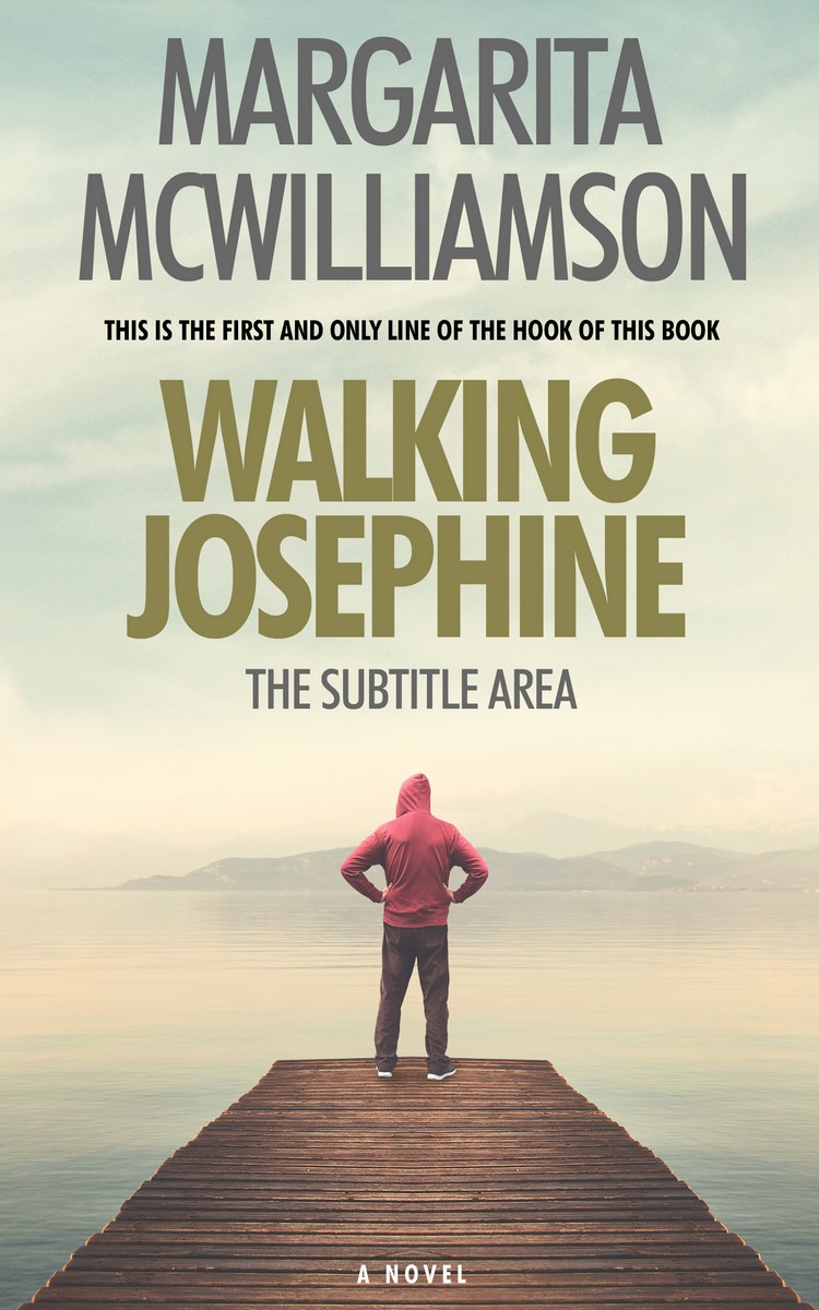 2D view of Premade Teen & Young Adult Book Cover - Tana