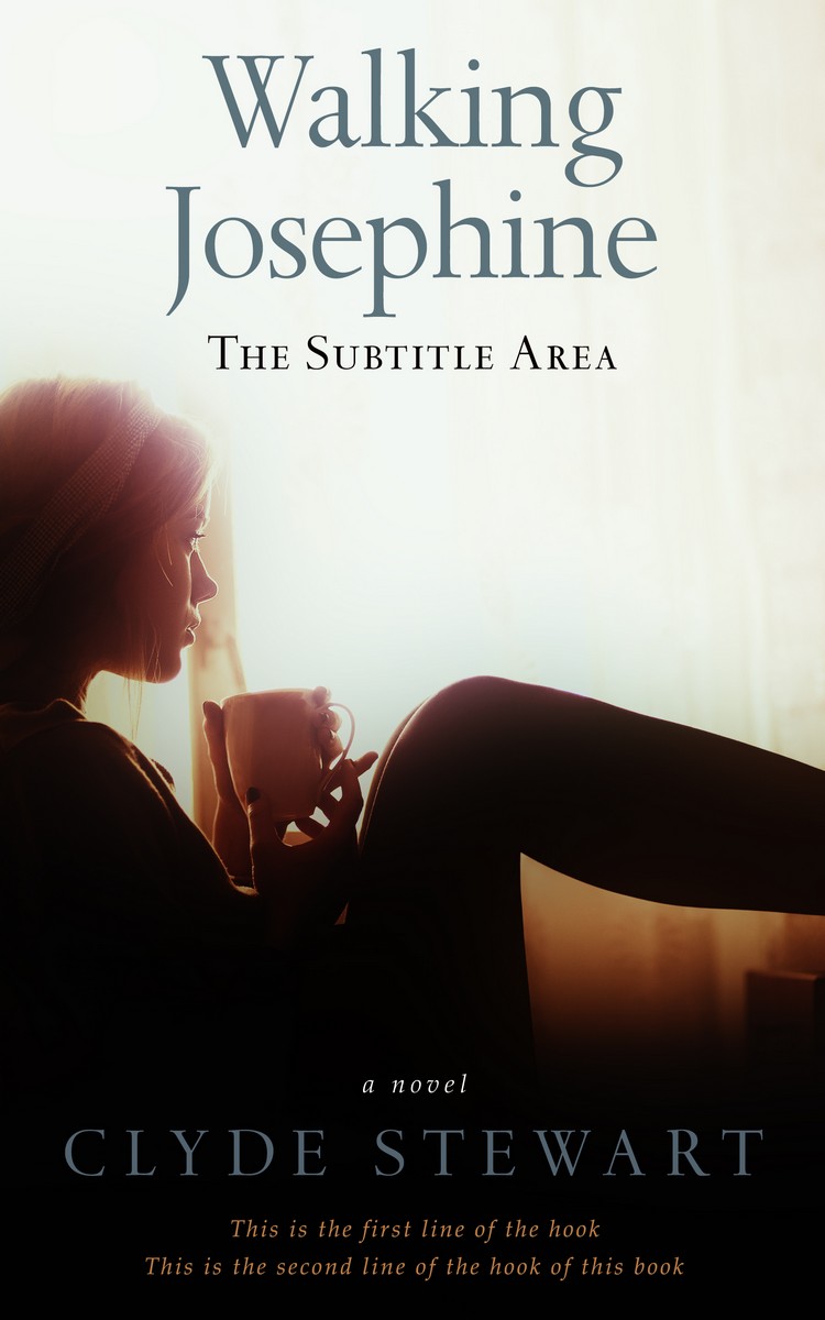 2D view of Premade Teen & Young Adult Book Cover - Night Rider