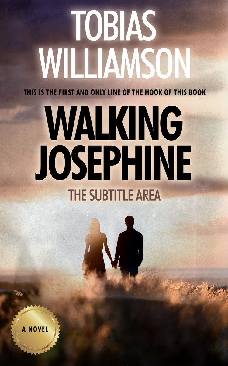 2D view of Premade Romance Book Cover - Rodeo Dust