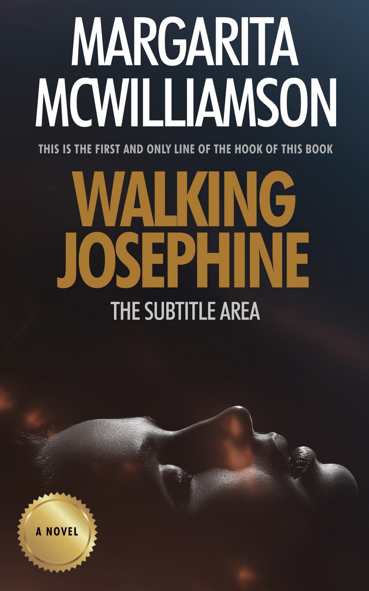 2D view of Premade Mystery & Thriller & Suspense Book Cover - Thunder