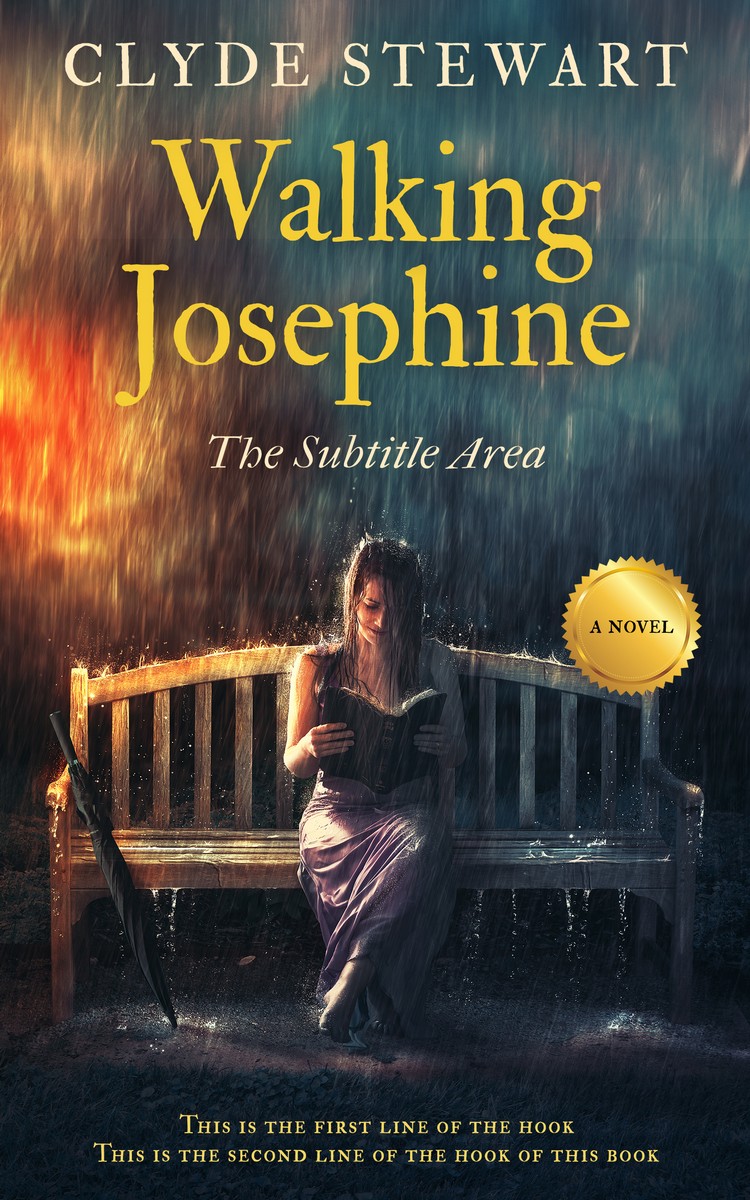 2D view of Premade Romance Book Cover - Outer Space