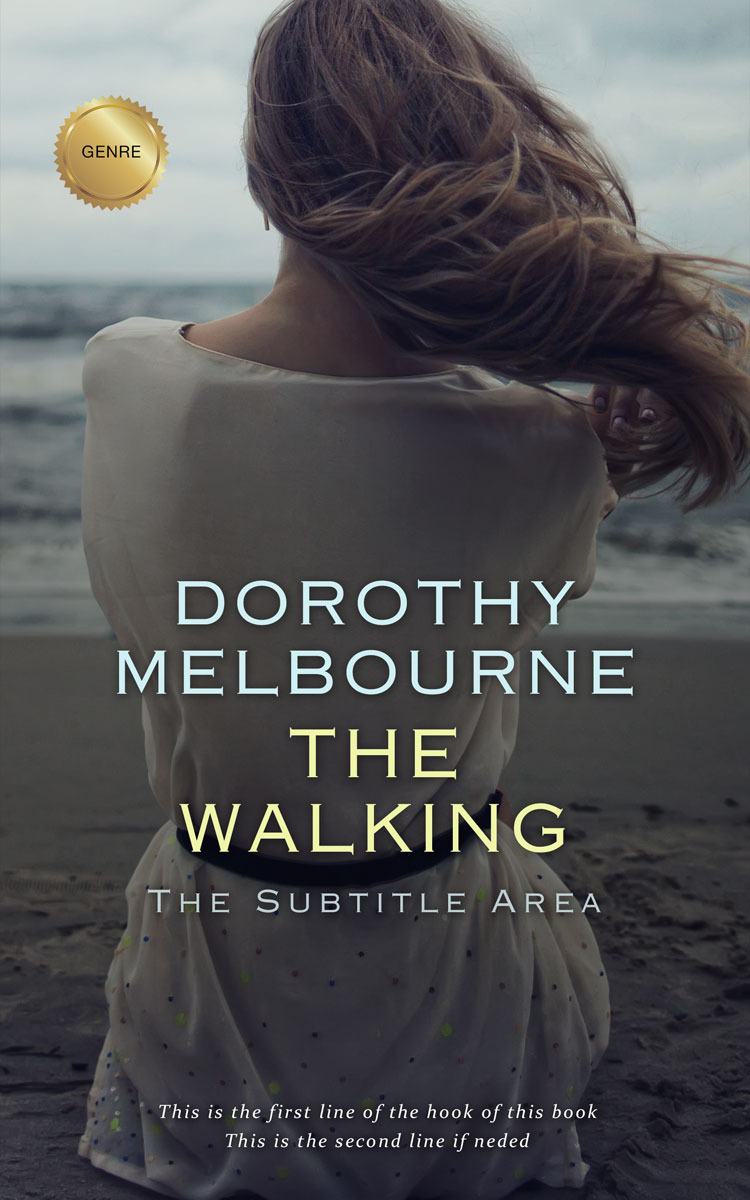 2D view of Premade Literary Fiction Book Cover - Ship Gray