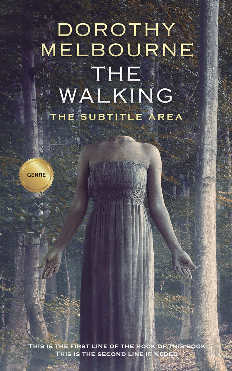 2D view of Premade Mystery & Thriller & Suspense Book Cover - Ship Gray