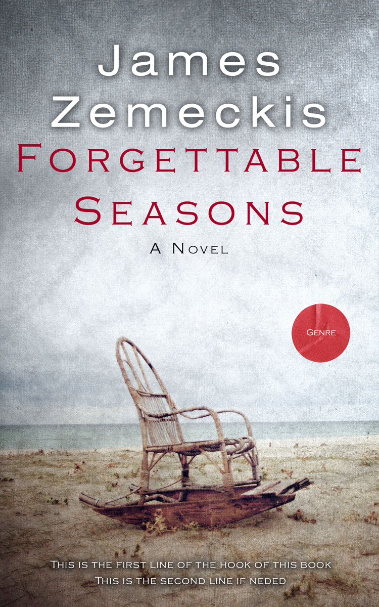 2D view of Premade Literary Fiction Book Cover - Silver Sand