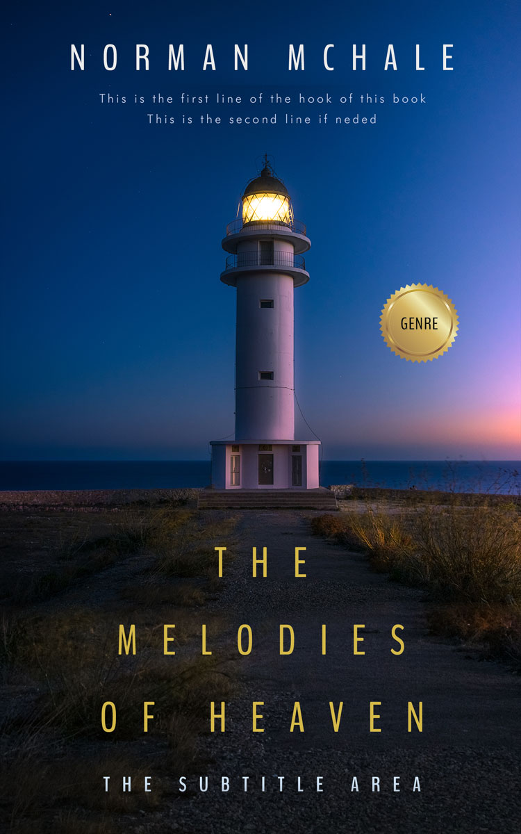 2D view of Premade Literary Fiction Book Cover - Big Stone