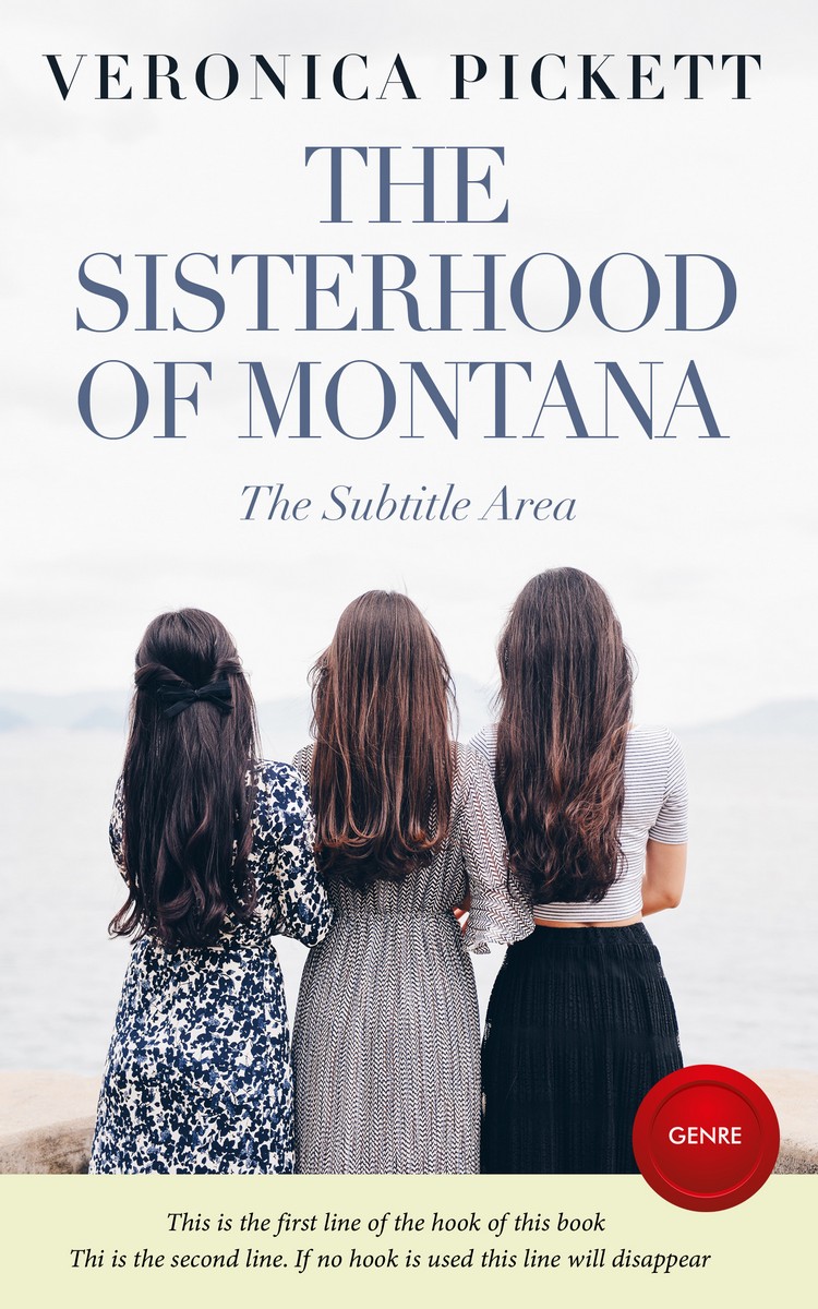 2D view of Premade Chick Lit Book Cover - Ebony Clay