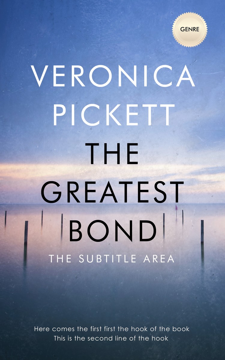 2D view of Premade Literary Fiction Book Cover - Wild Blue Yonder