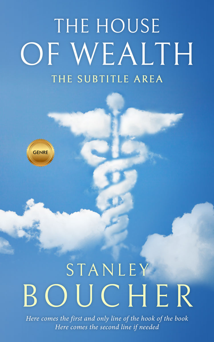 2D view of Premade Abstract Book Cover - Danube