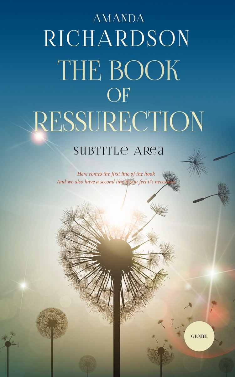 2D view of Premade Self-Improvement & Self-Help Book Cover - Ash