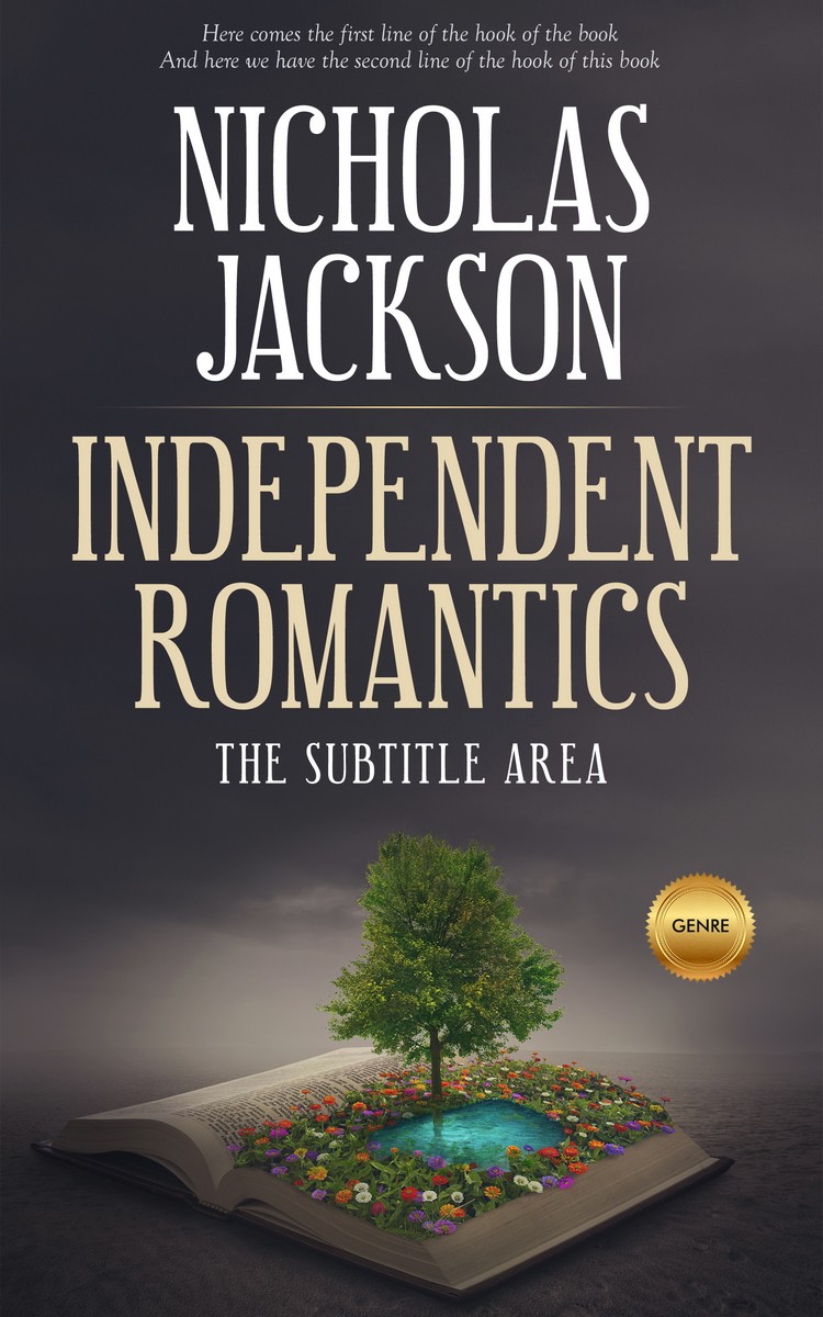 2D view of Premade Surreal Book Cover - Ship Gray