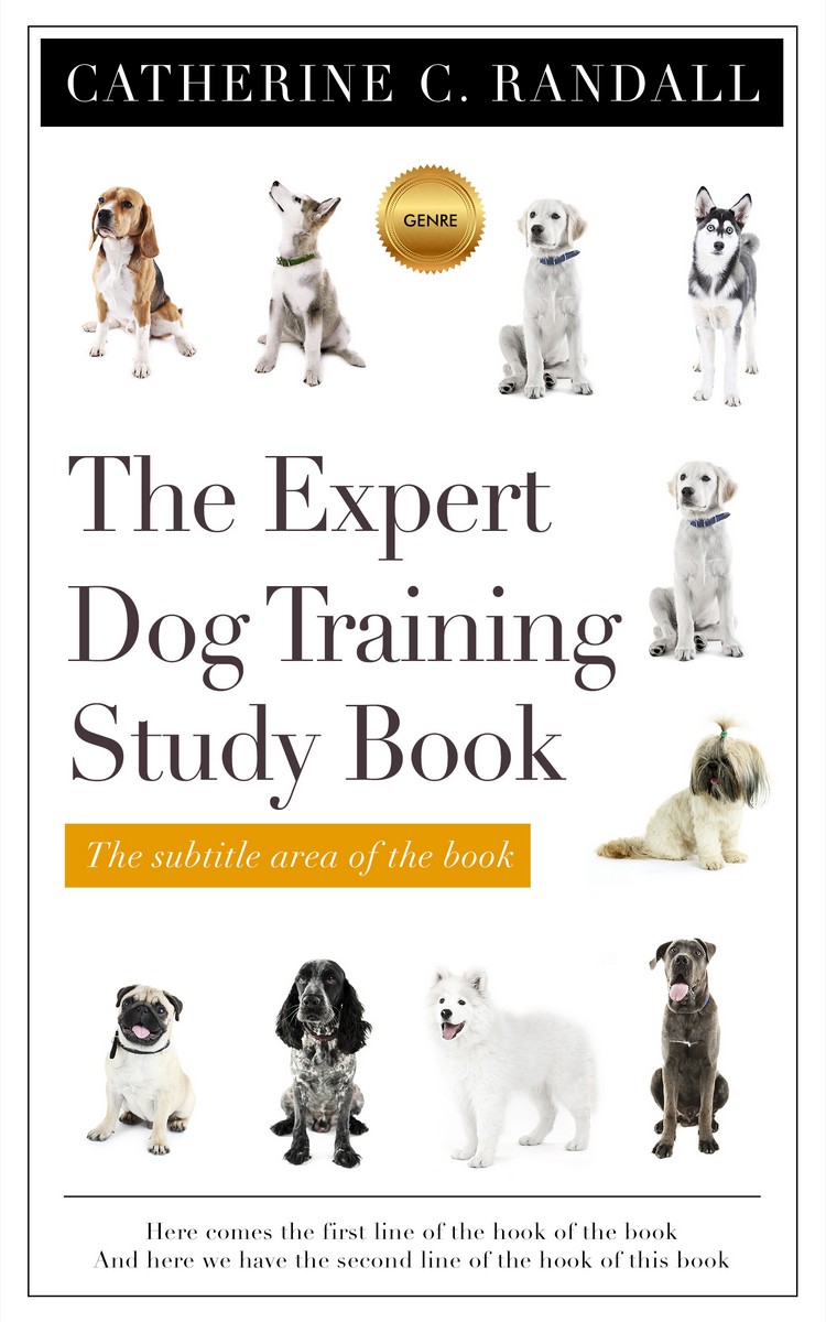 2D view of Premade Abstract Book Cover - Swirl