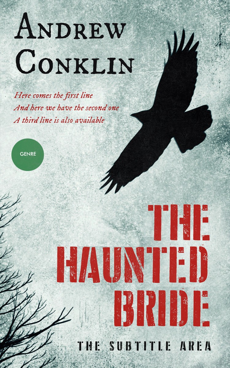 2D view of Conch #3487 - Premade Mystery & Thriller & Suspense Book Cover | BookCoverZone