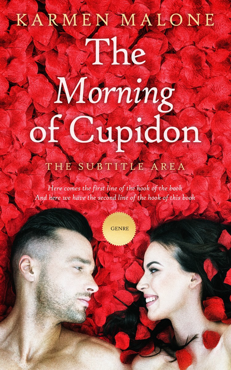 2D view of Premade Erotica Book Cover - Punch