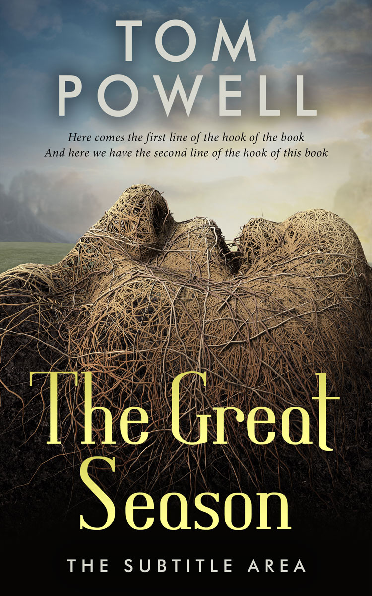 2D view of Premade Mystery & Thriller & Suspense Book Cover - Akaroa