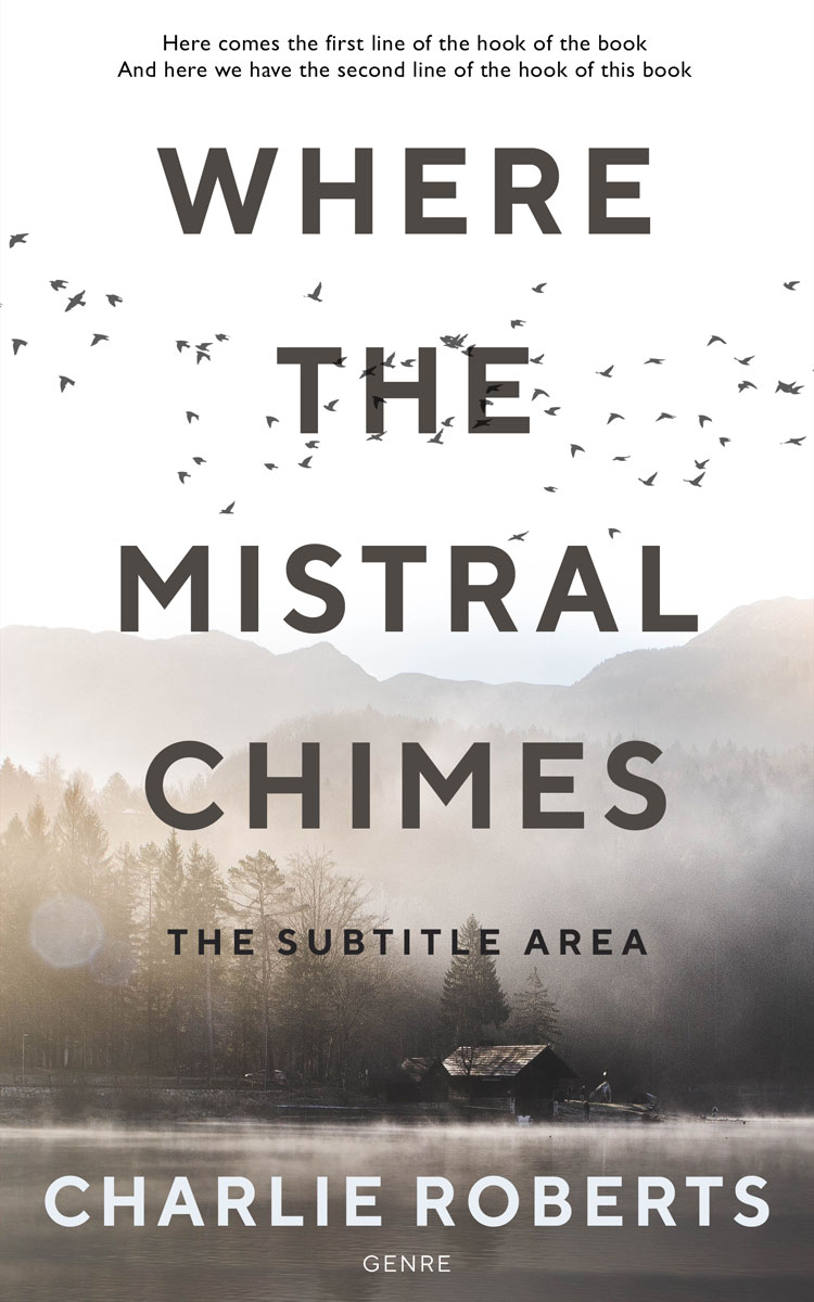 2D view of Premade Literary Fiction Book Cover - Silver Rust