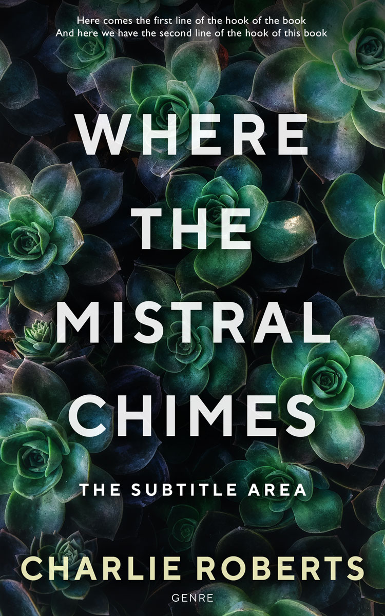 2D view of Premade Romance Book Cover - Aztec