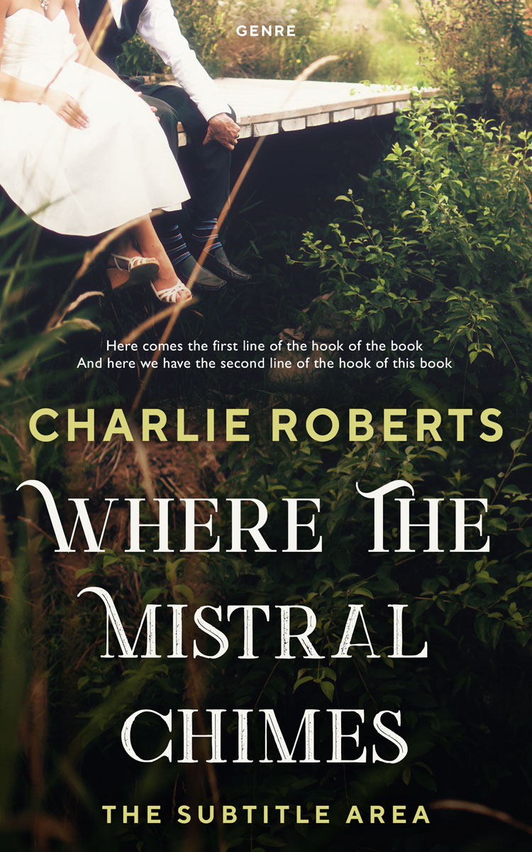 2D view of Premade Romance Book Cover - Bone