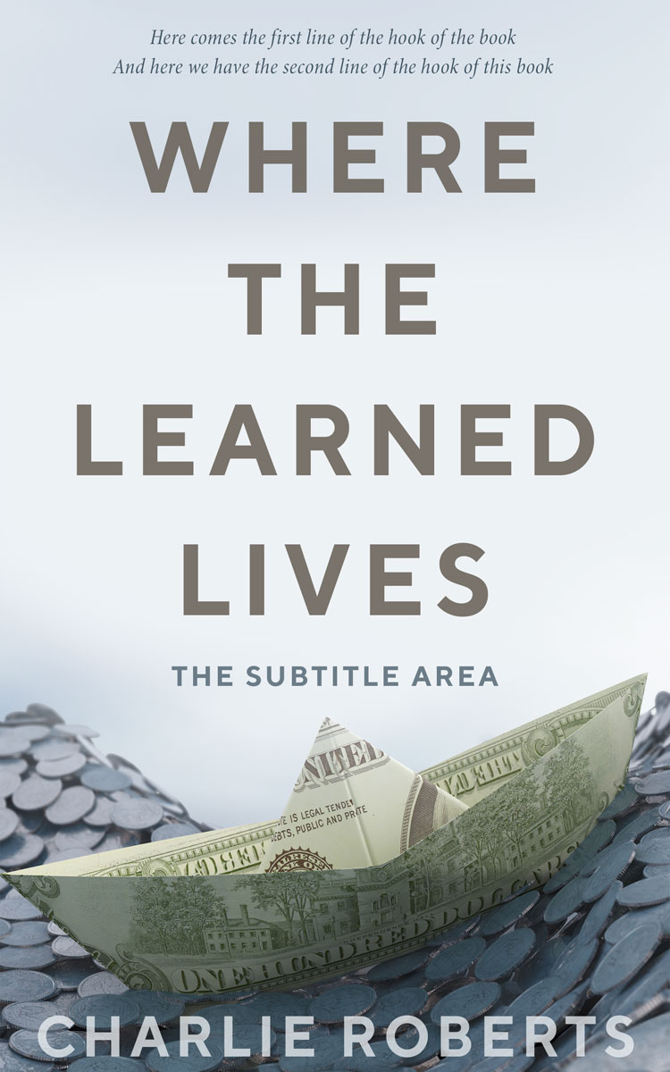 2D view of Premade Business Book Cover - Mystic