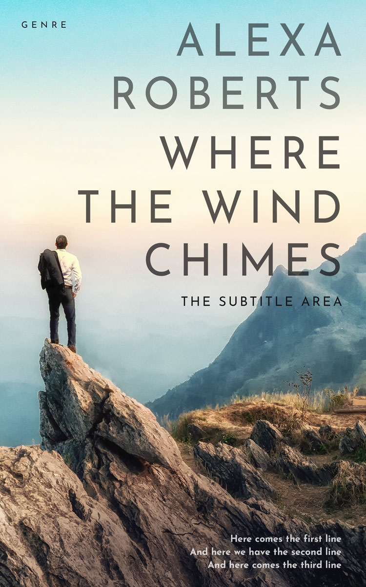 2D view of Premade Business Book Cover - Tasman