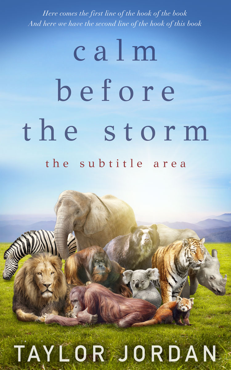 2D view of Premade Children's Book Cover - Ziggurat