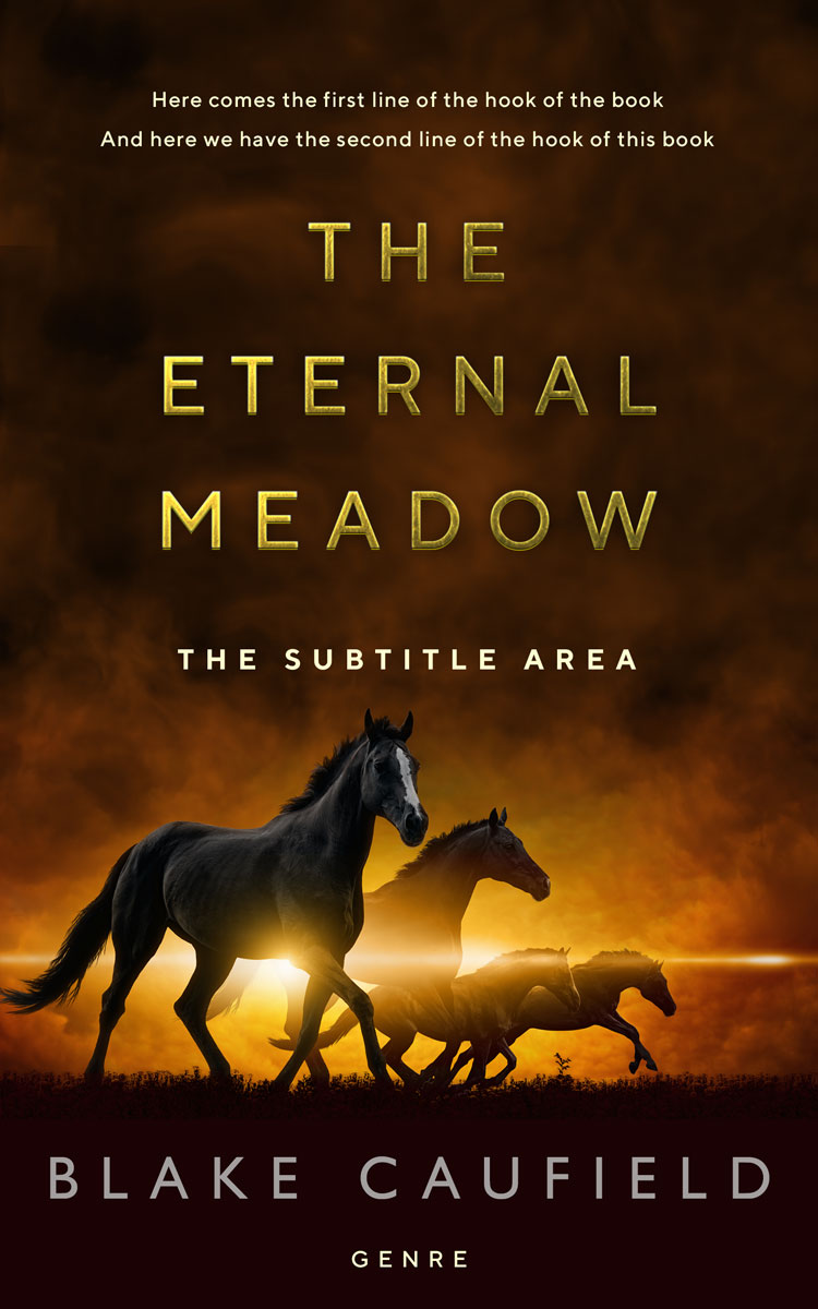 2D view of Premade Mystery & Thriller & Suspense Book Cover - Jacko Bean