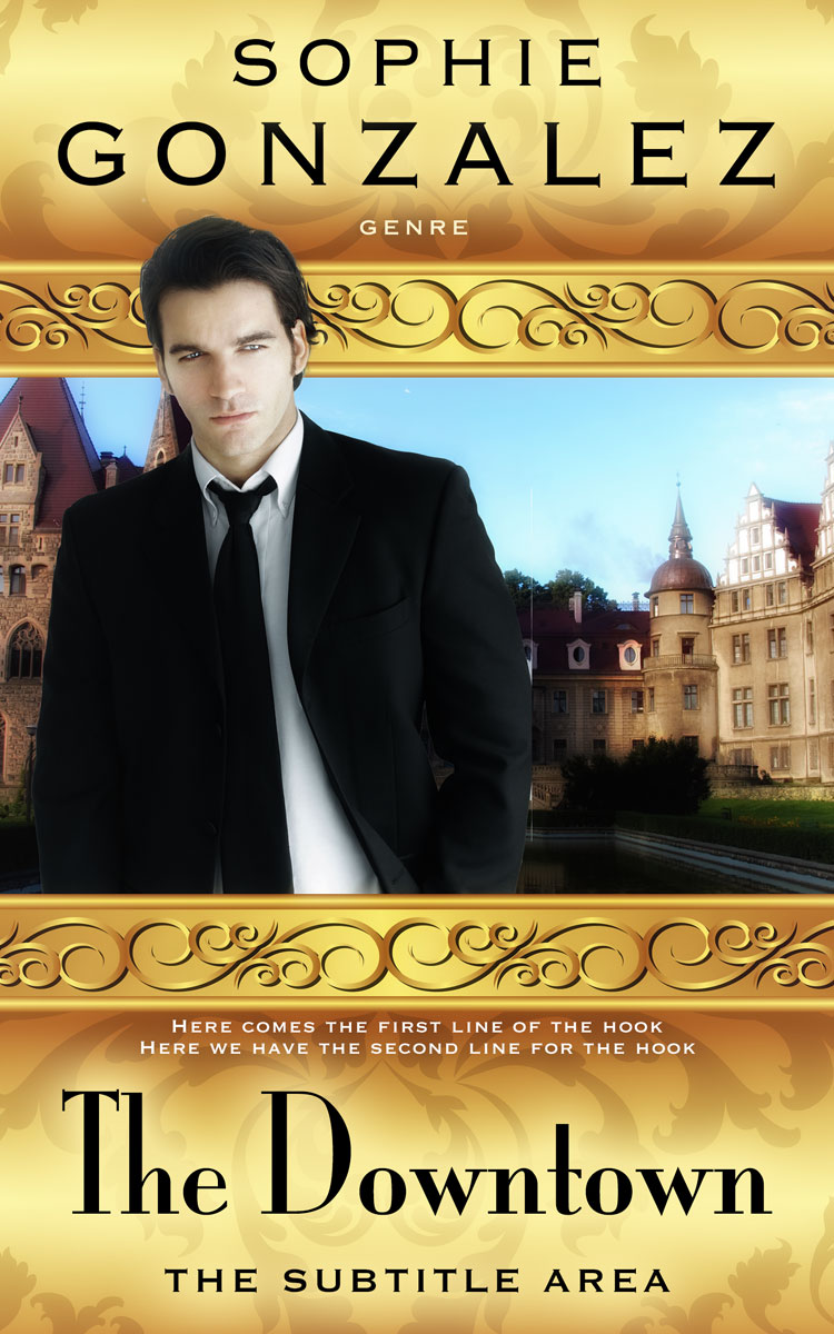 2D view of Premade Business Book Cover - Apache