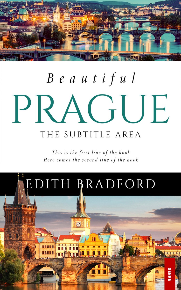 2D view of Premade Travel Book Cover - Rodeo Dust