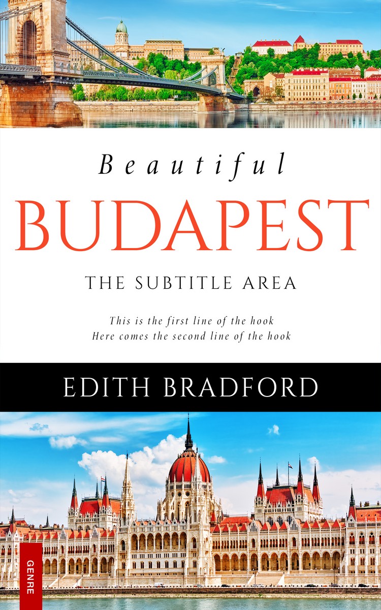 2D view of Premade Travel Book Cover - Swirl