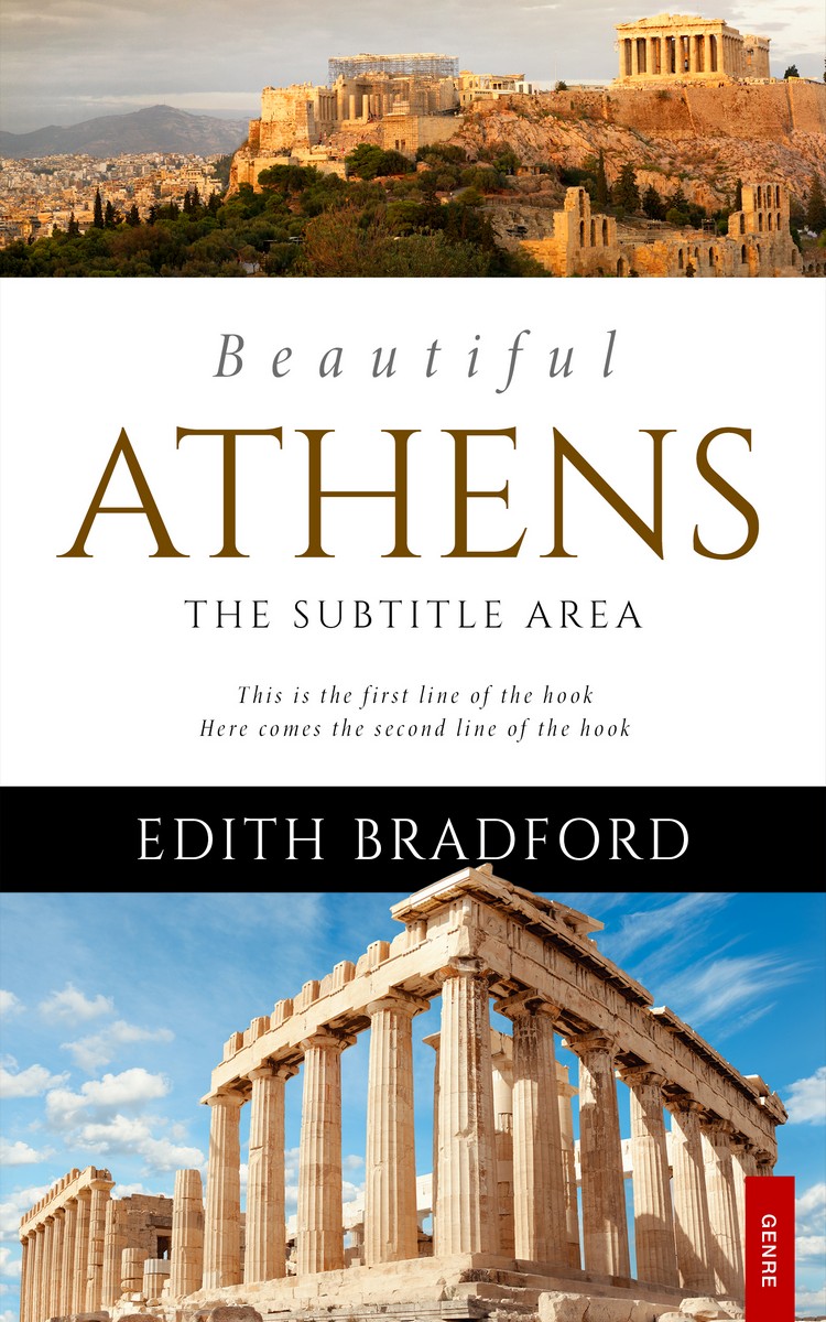 2D view of Premade Travel Book Cover - Bison Hide