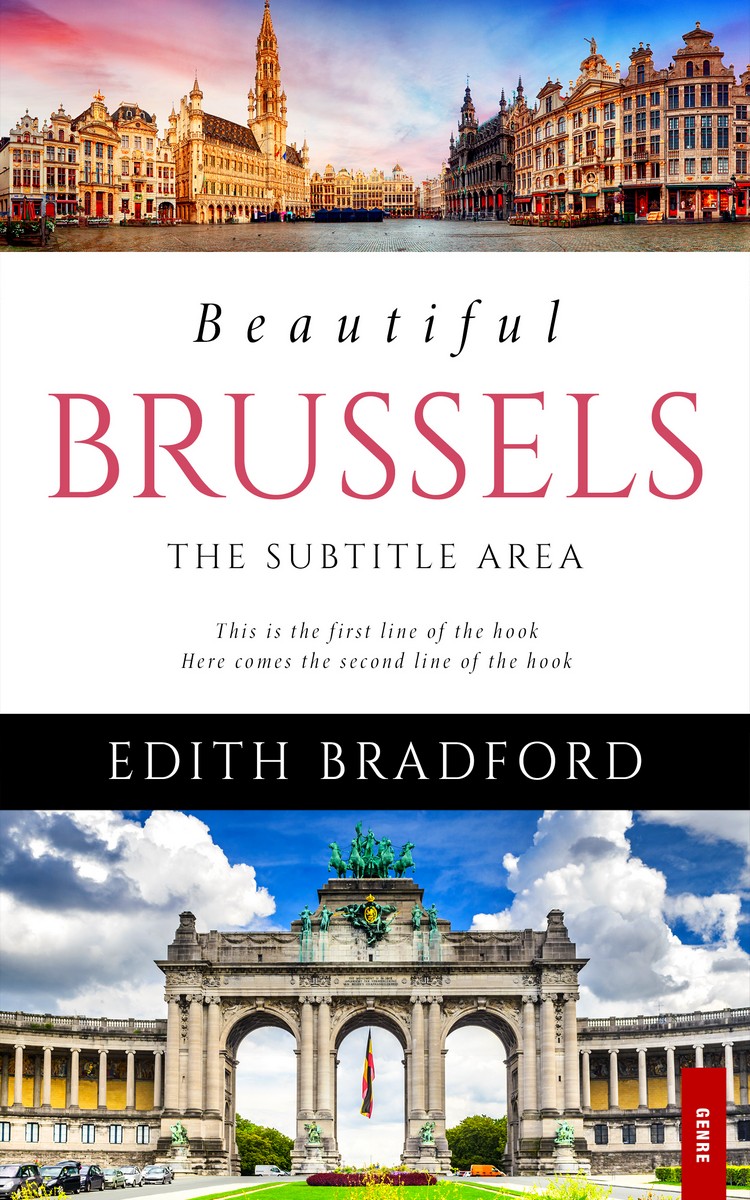 2D view of Premade Travel Book Cover - Silver Rust