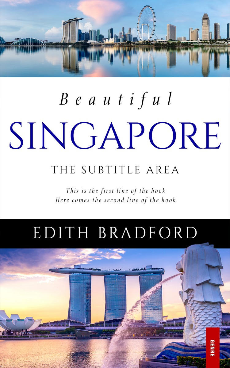 2D view of Premade Travel Book Cover - Gray Suit