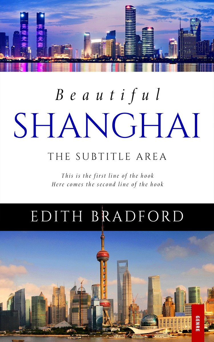 2D view of Premade Travel Book Cover - Wild Blue Yonder