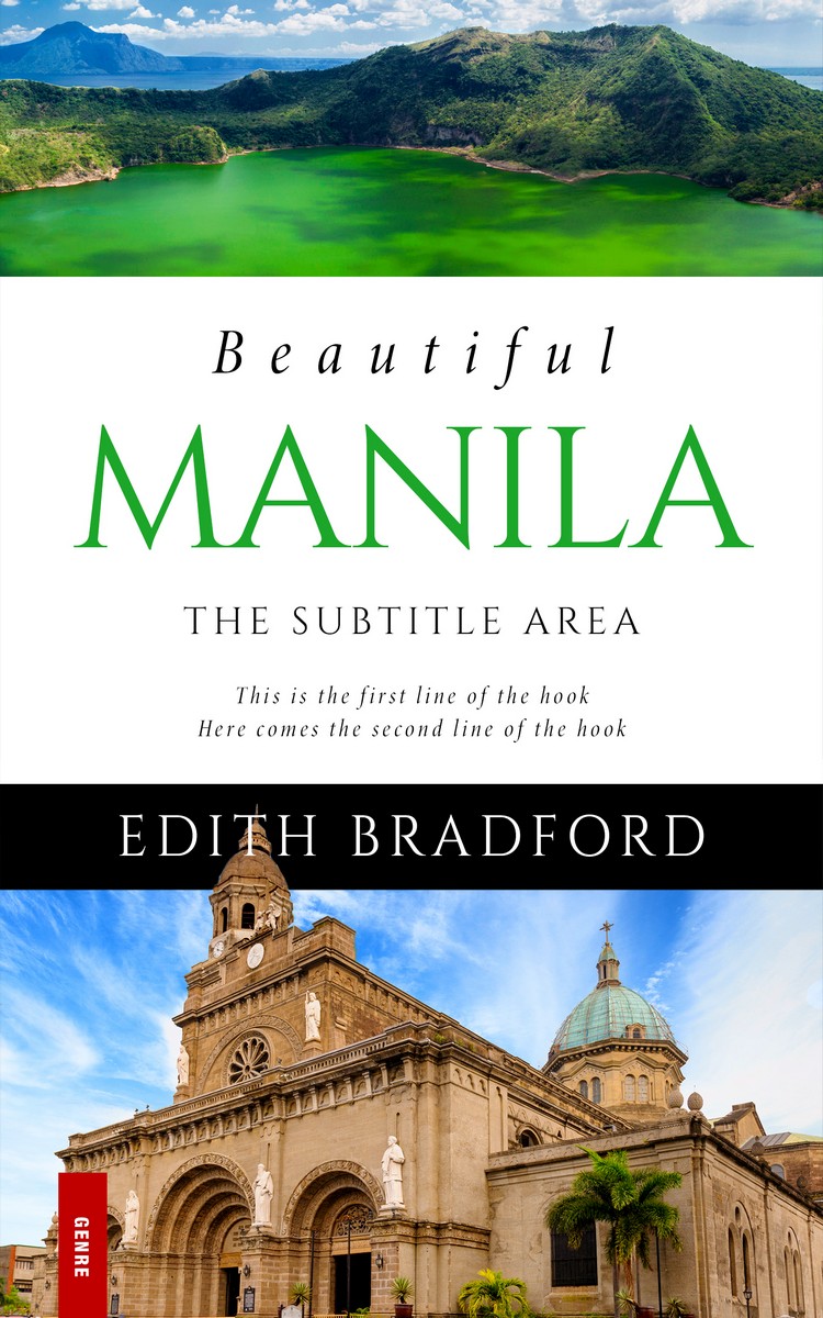 2D view of Premade Travel Book Cover - Rangitoto