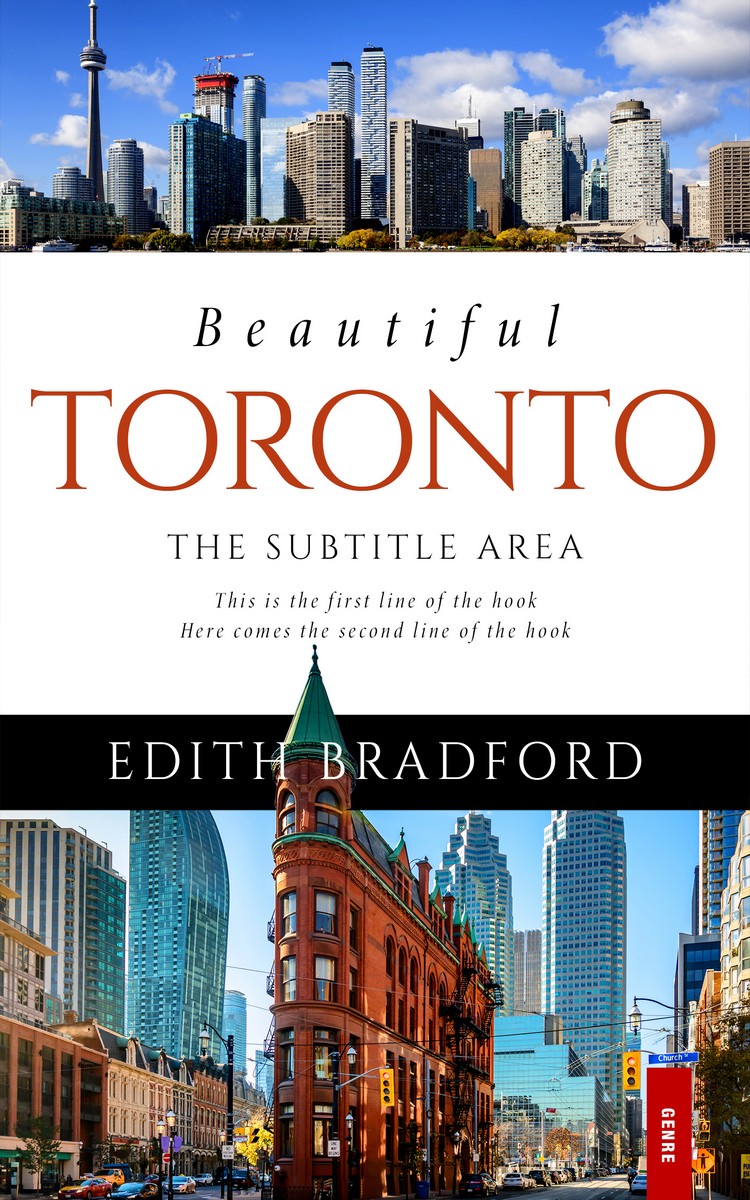 2D view of Premade Travel Book Cover - Shark