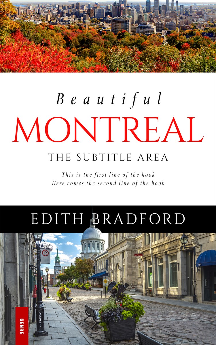 2D view of Premade Travel Book Cover - Armadillo