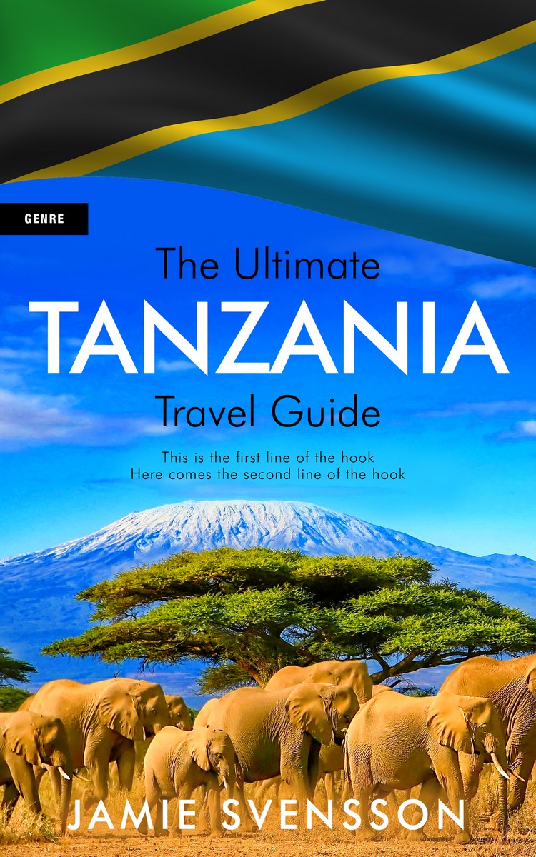 2D view of Premade Travel Book Cover - Old Gold