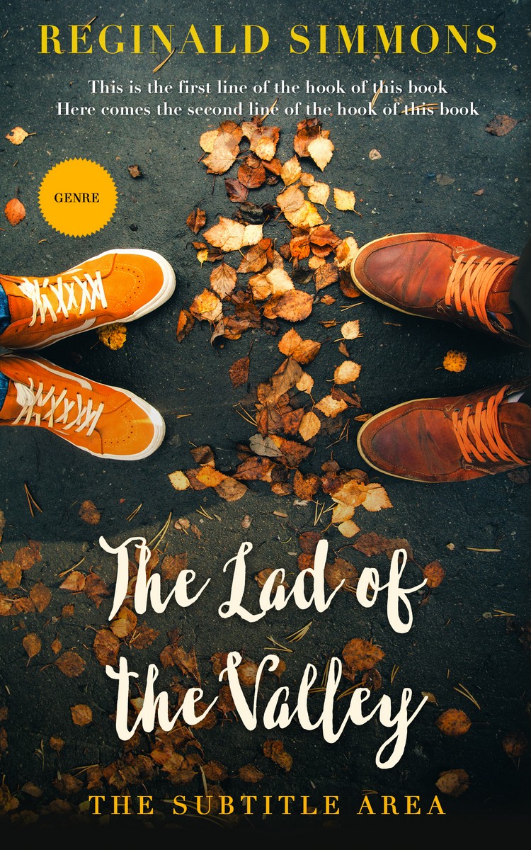 2D view of Premade Romance Book Cover - Outer Space