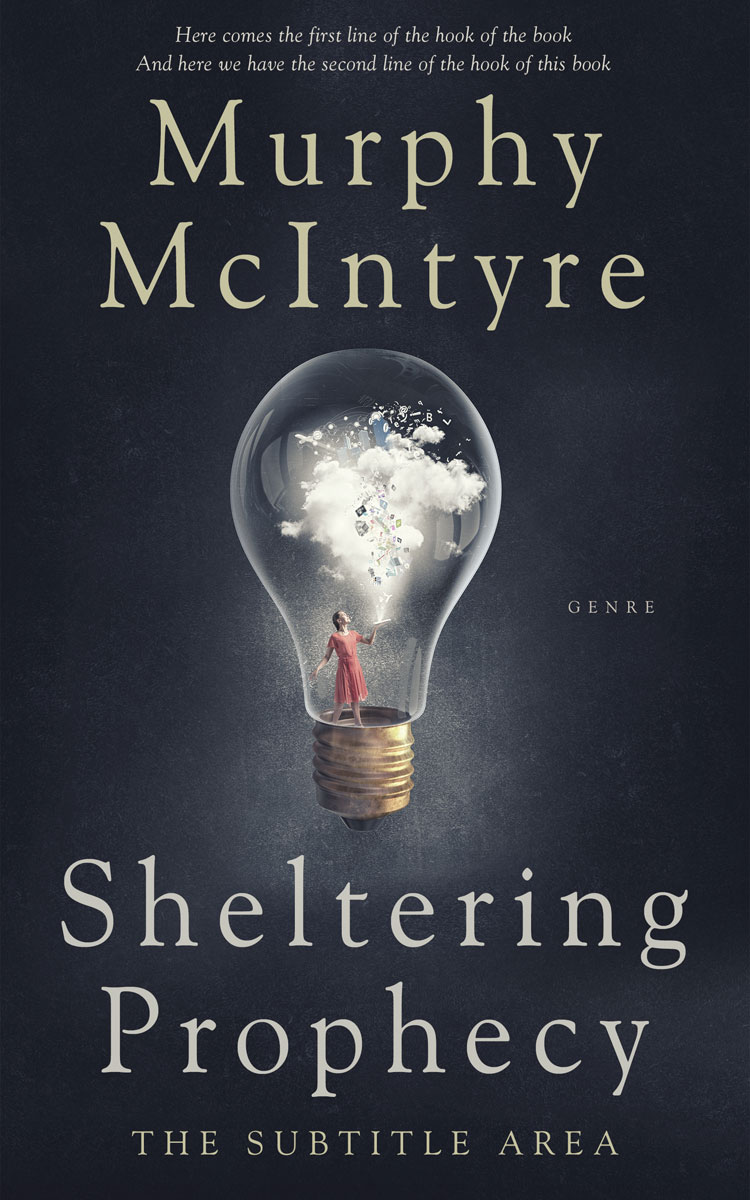 2D view of Premade Self-Improvement & Self-Help Book Cover - Charade