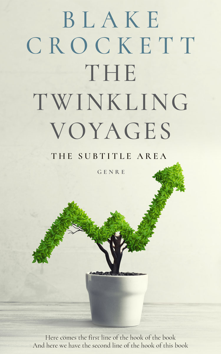 2D view of Premade Business Book Cover - Moon Mist