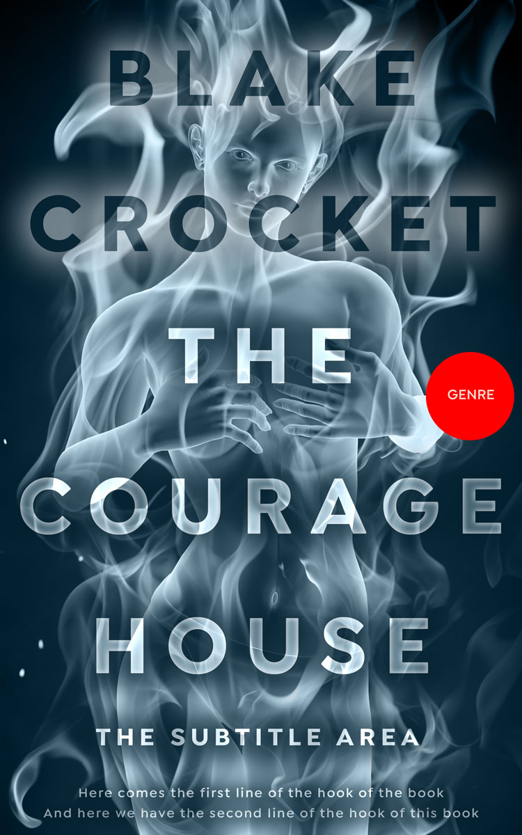 2D view of Premade Mystery & Thriller & Suspense Book Cover - Blue Dianne