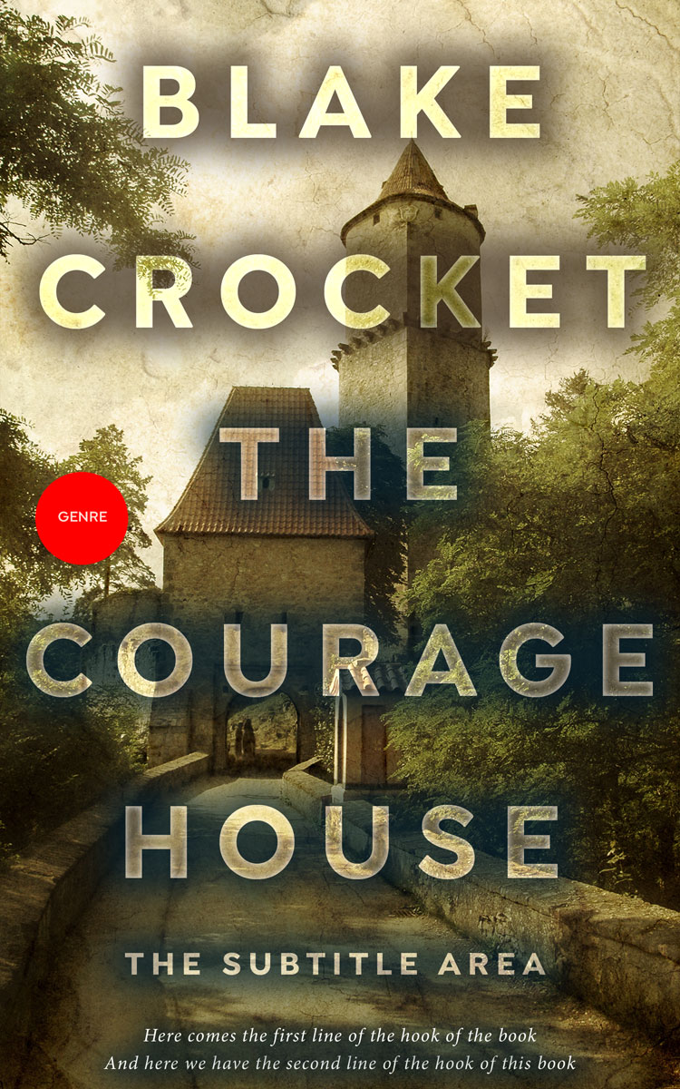 2D view of Premade Historical Book Cover - Birch