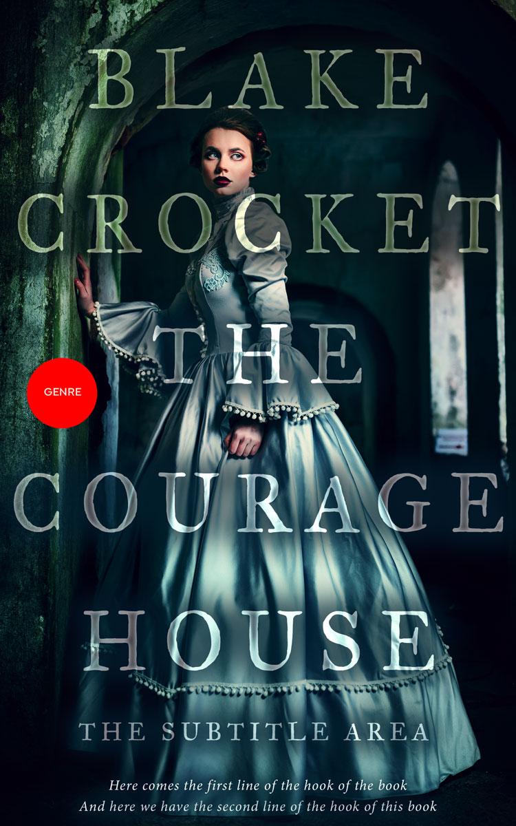 2D view of Premade Fantasy Book Cover - Firefly