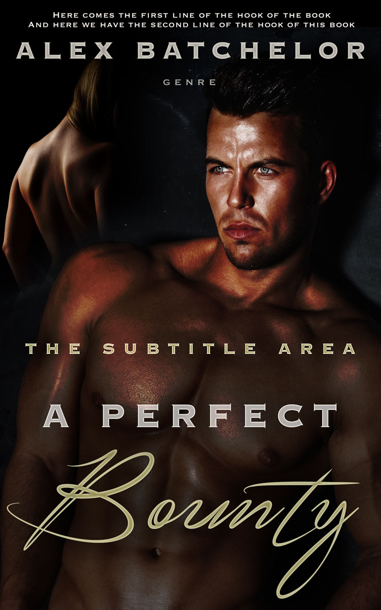 2D view of Premade Erotica Book Cover - Night Rider